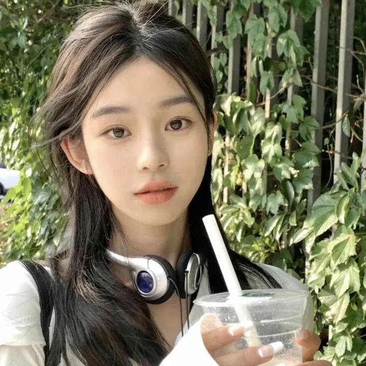 纽约鼠患